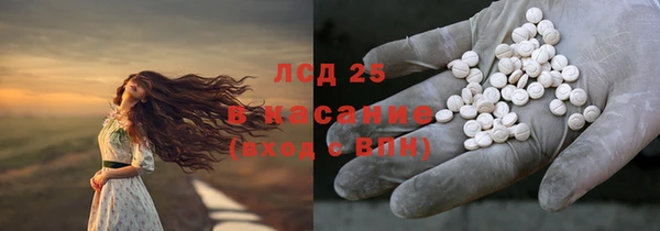 гидра Абаза