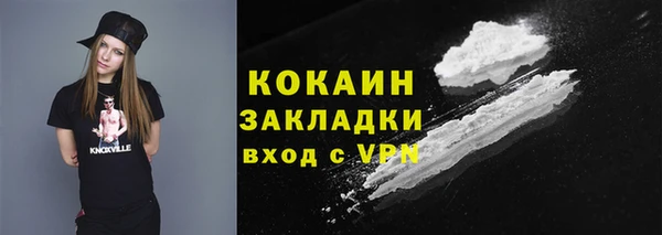 гидра Абаза