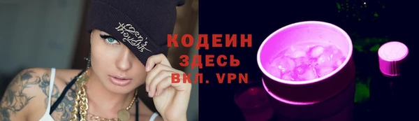 гидра Абаза