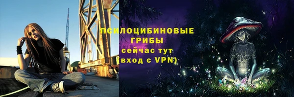 гидра Абаза