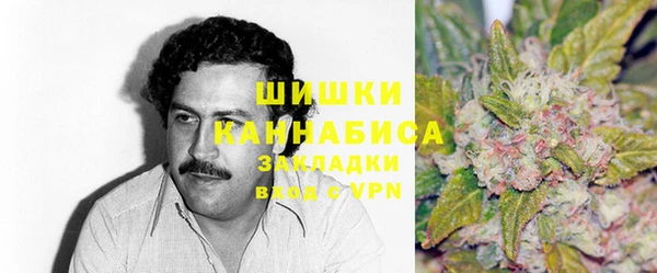 гидра Абаза