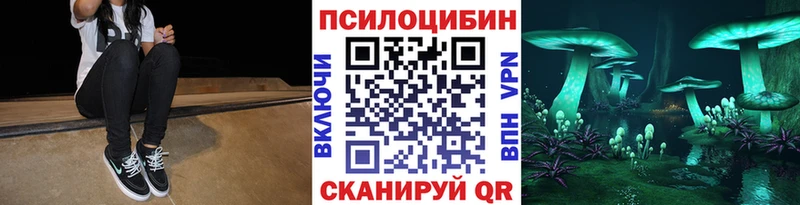 Галлюциногенные грибы Psilocybine cubensis Кингисепп