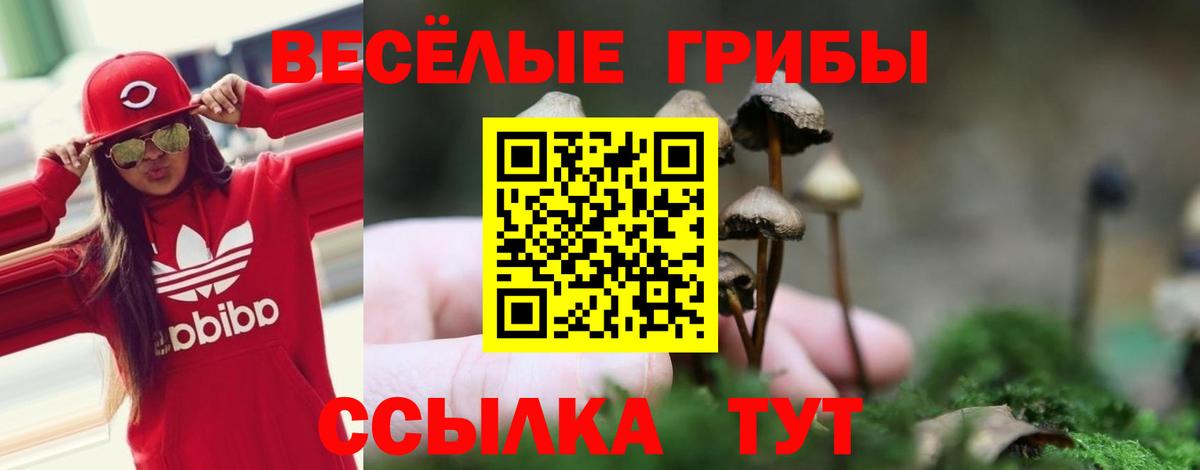Галлюциногенные грибы MAGIC MUSHROOMS Кингисепп